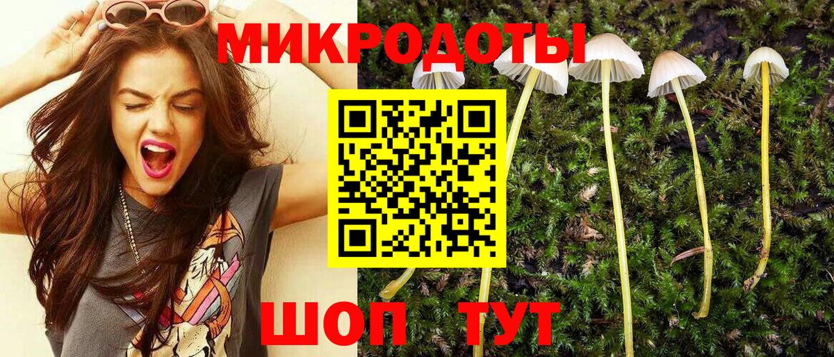 Псилоцибиновые грибы MAGIC MUSHROOMS  Вход с VPN  купить закладку  Кандалакша 