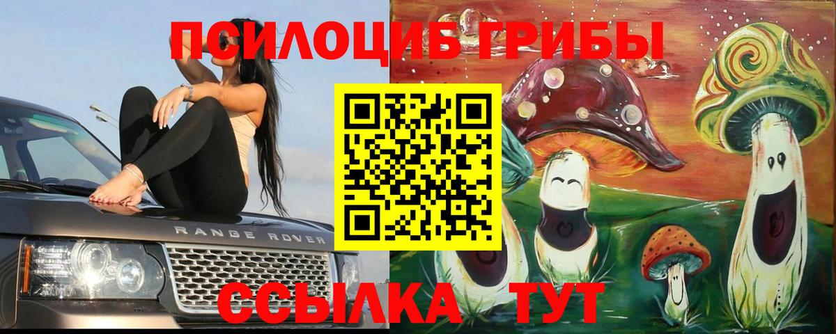 Галлюциногенные грибы мицелий Кандалакша